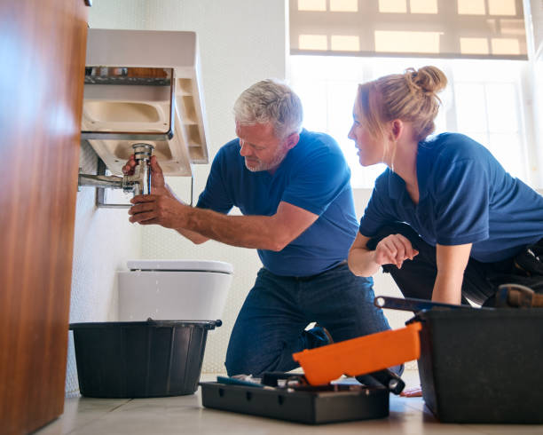 Best Plumbing System Maintenance  in North Crossett, AR